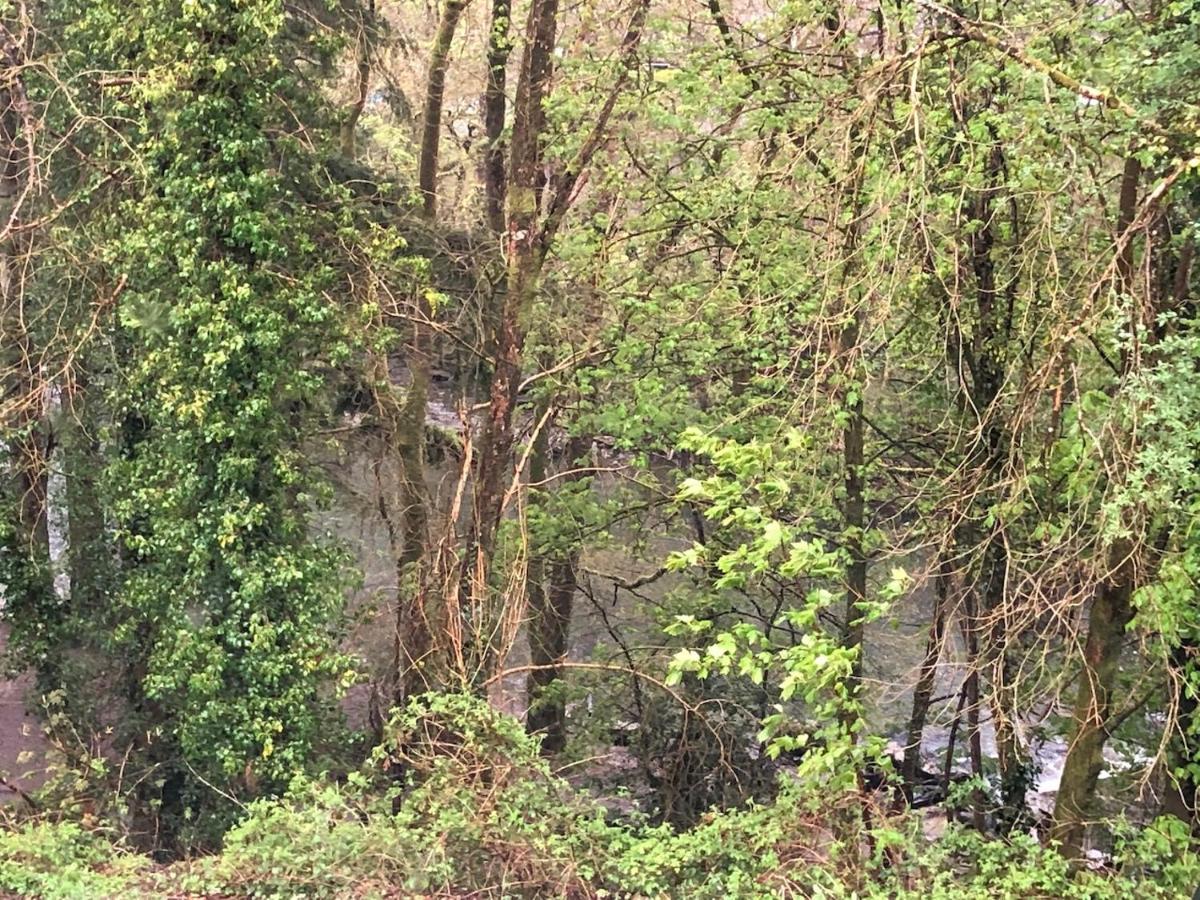 Summerhill Guest House ベトウス・ア・コーエド エクステリア 写真