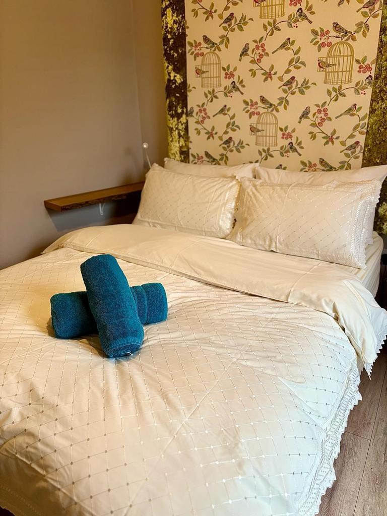 Summerhill Guest House ベトウス・ア・コーエド エクステリア 写真